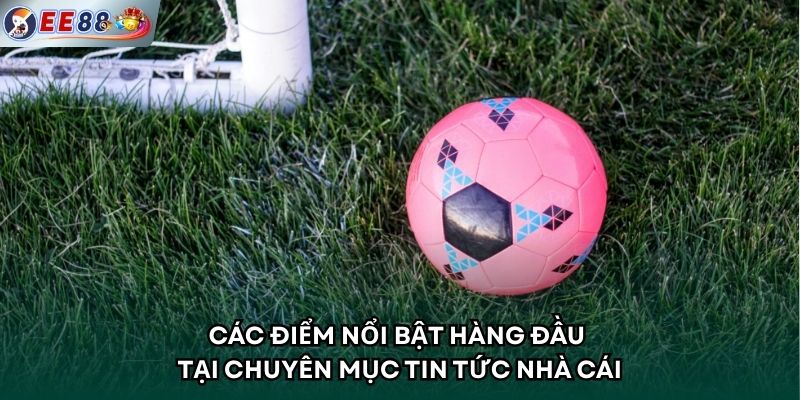 Các điểm nổi bật hàng đầu tại chuyên mục tin tức nhà cái