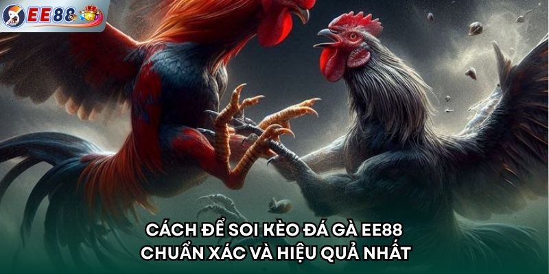 Cách để soi kèo đá gà EE88 chuẩn xác và hiệu quả nhất