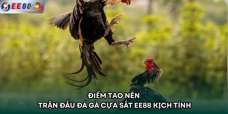 Điểm tạo nên trận đấu đá gà cựa sắt EE88 kịch tính