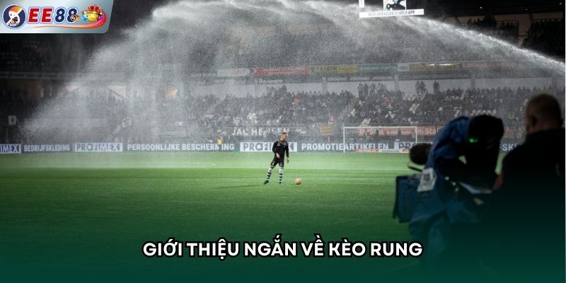 Giới thiệu ngắn về kèo rung