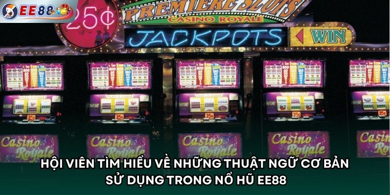 Hội viên tìm hiểu về những thuật ngữ cơ bản sử dụng trong nổ hũ EE88