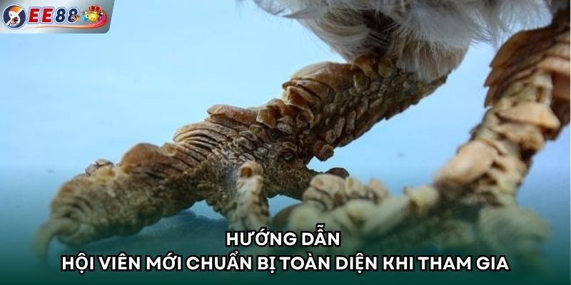 Hướng dẫn hội viên mới chuẩn bị toàn diện khi tham gia 