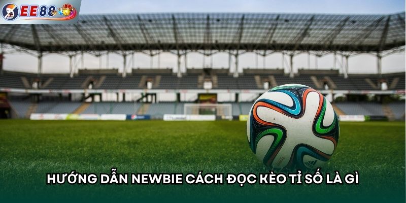 Hướng dẫn newbie cách đọc kèo tỉ số là gì