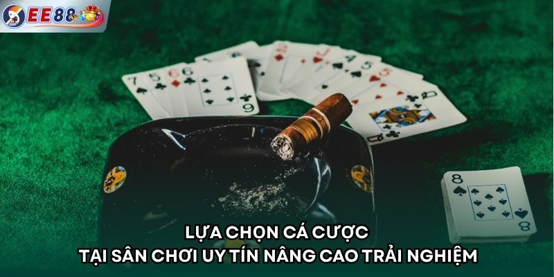 Lựa chọn cá cược tại sân chơi uy tín nâng cao trải nghiệm