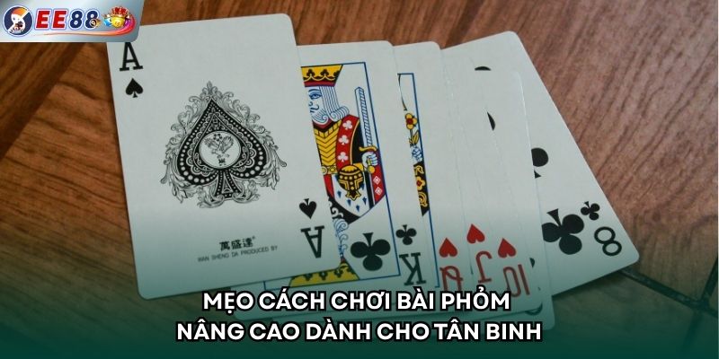 Mẹo cách chơi bài phỏm nâng cao dành cho tân binh