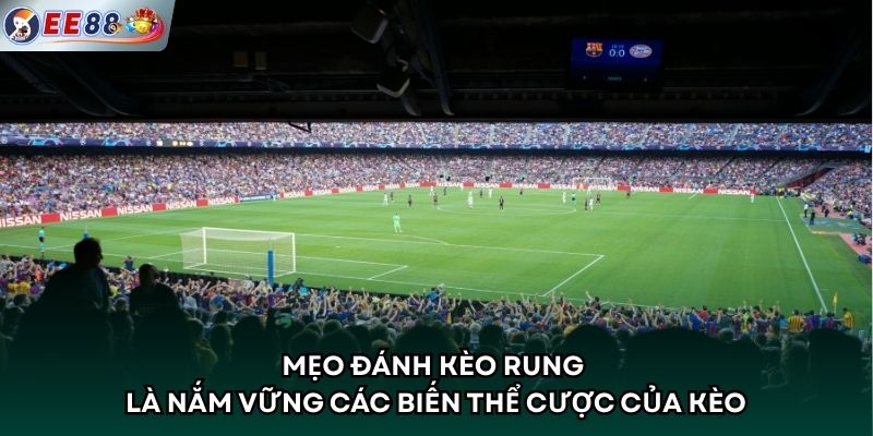 Mẹo đánh kèo rung là nắm vững các biến thể cược của kèo