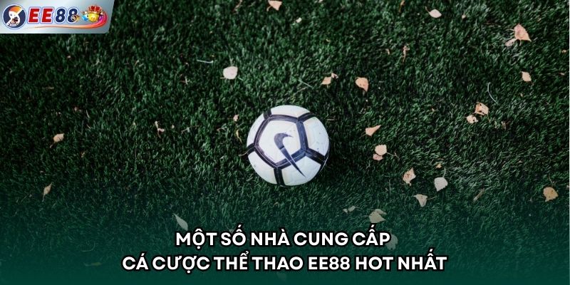 Một số nhà cung cấp cá cược thể thao EE88 hot nhất