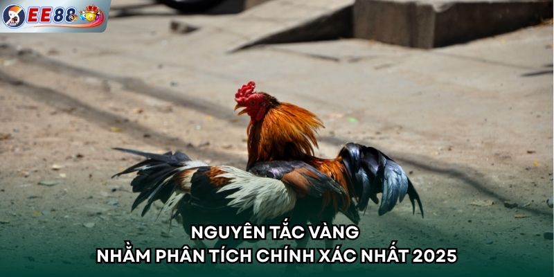 Nguyên tắc vàng nhằm phân tích chính xác nhất 2025