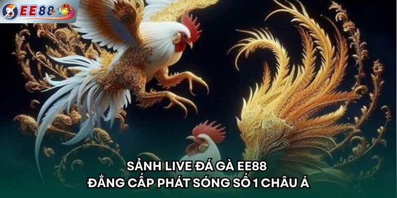 Sảnh Live Đá Gà EE88 - Đẳng Cấp Phát Sóng Số 1 Châu Á