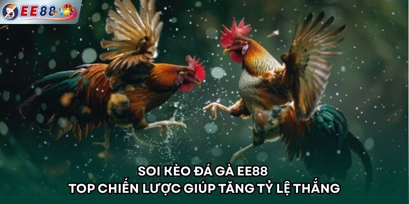 Soi kèo đá gà EE88 – Top Chiến Lược Giúp Tăng Tỷ Lệ Thắng
