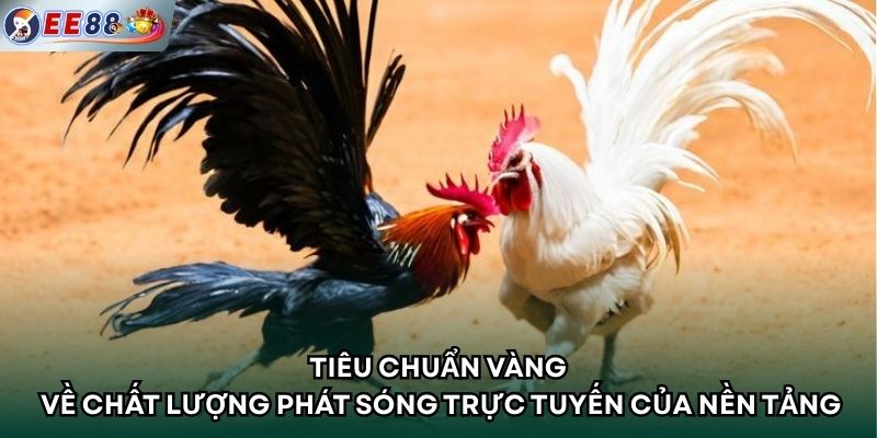 Tiêu chuẩn vàng về chất lượng phát sóng trực tuyến của nền tảng