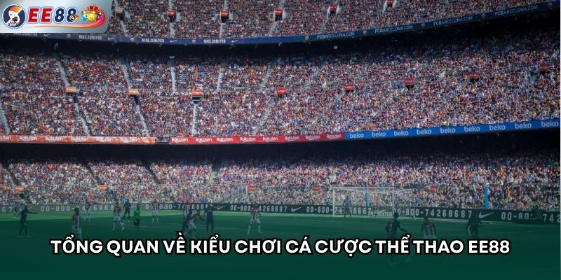 Tổng quan về kiểu chơi cá cược thể thao EE88